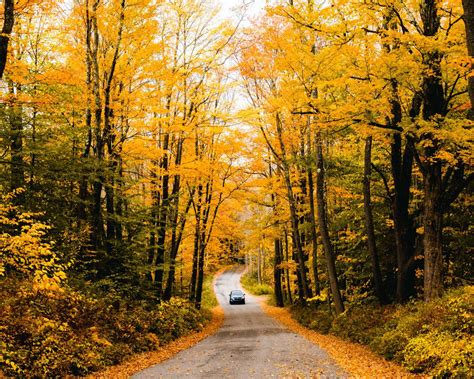 best places to see foliage in connecticut|green foliage in ct.